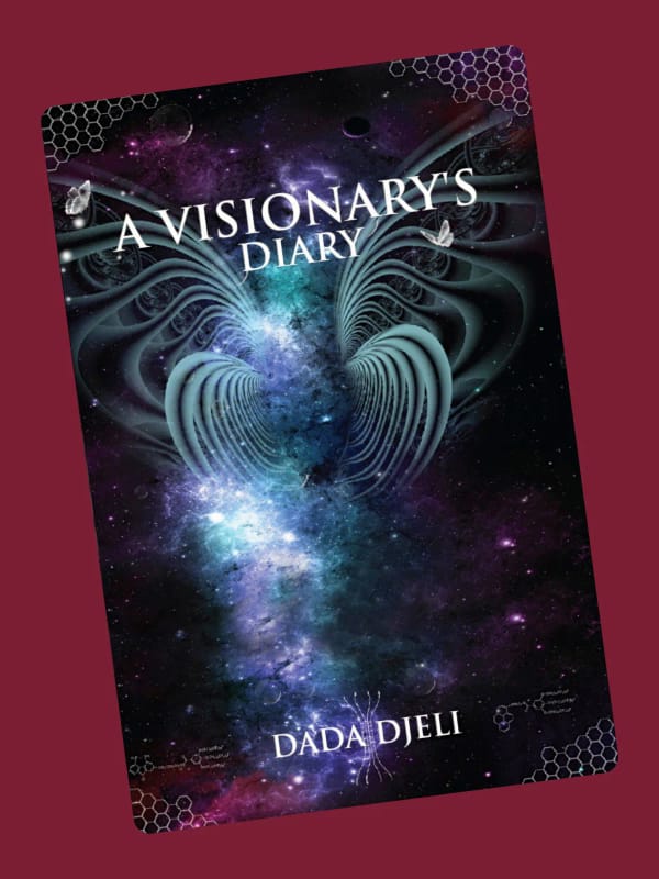 A Visionary's Diary E-Book